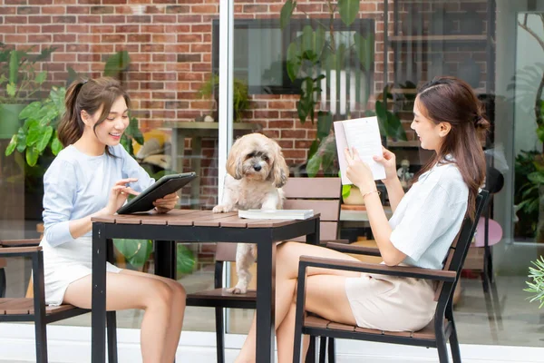 Güzel Asyalı bayan arkadaş oturuyor ve bir kitap okuyor. Güzel bir kadın yaramaz bir köpekle balkonda oturuyor..