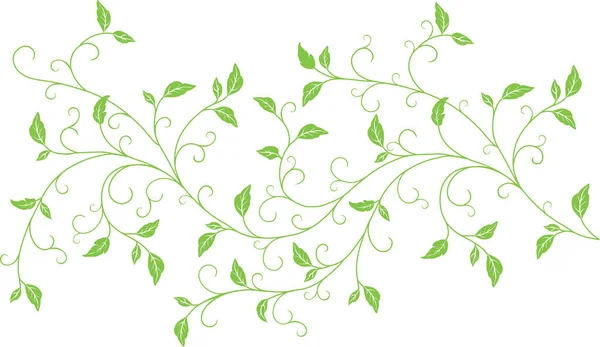 Vector Illustration Floral Background Leaves — Stock Vector