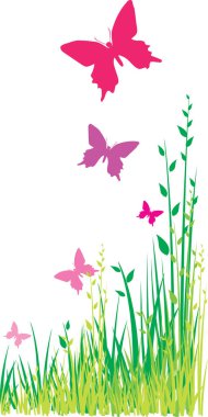 Beyaz arka planda çimen olan pembe kelebekler.