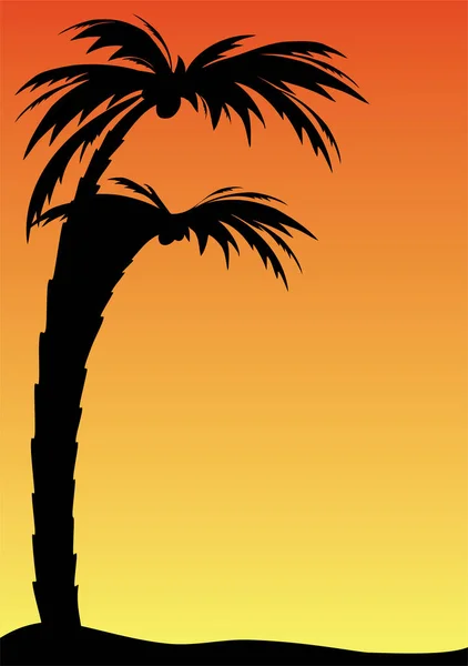 Vector Illustration Palm Trees — Stock Vector