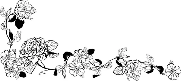 Illustration Vectorielle Noir Blanc Cadre Motif Floral — Image vectorielle