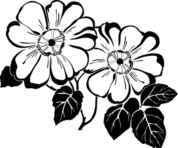 Illustration Vectorielle Fleurs Noires Blanches — Image vectorielle