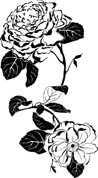Ilustración Vectorial Conjunto Elementos Florales — Vector de stock