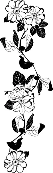 Patrón Floral Blanco Negro Con Flores — Vector de stock