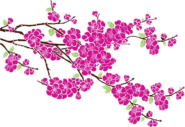 Cseresznyevirág Vektorillusztrációja — Stock Vector
