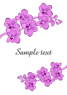 Kutlama arkaplanı pembe orkide dalı ve mesajın için yer. Vektör illüstrasyonu 