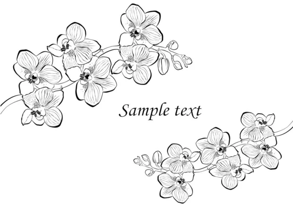 Ünnepi Háttér Rózsaszín Orchidea Hely Szöveg Vektorillusztráció — Stock Vector