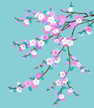 Güzel pembe sakura çiçekleri, vektör illüstrasyonu