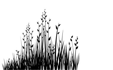 Beyaz arkaplanda izole edilmiş siyah ot, vektör illüstrasyonu