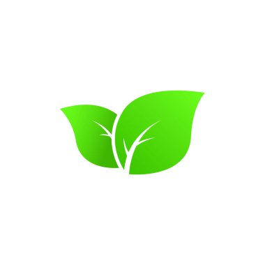 Yeşil yaprak logo vektör grafikleri