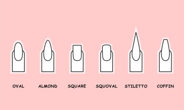 En popüler tırnak şekillerinin vektör çizimi