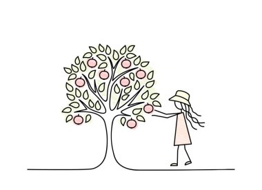 Kız çiftçi sepette elma topluyor, tarım ürünleri yetiştiriyor, eskiz çiziyor, olgun elmalar hasat için hazır, basit karalama çizgisi çizimi çizimi çizimi