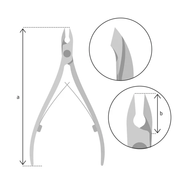 Nagelhautzangen Maniküre Vektor Illustration Für Schönheitssalon Nagelschneider Werkzeug Größenanleitung — Stockvektor