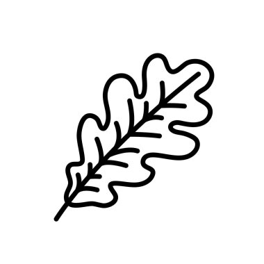 Beyaz arkaplanda sonbahar dekorasyon elementi meşe yaprağı, kalın siyah dış hat, sonbahar dönemi vektör çizimi, basit element, düzenlenebilir değil