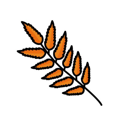 portakal yaprağı, sonbahar mevsimi vektör illüstrasyonu, sonbahar sanat dekorasyonu elementi