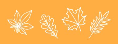 Sonbahar yaprakları, sık beyaz meşe, akçaağaç, kestane yaprağı, sonbahar dekoratif çizim seti, karalama vektör elementleri, turuncu arkaplan