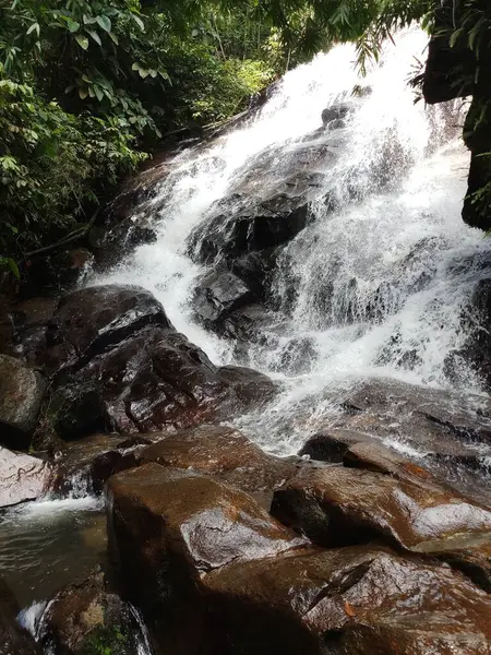 Der Schöne Blick Auf Den Wasserfall Dschungel — Stockfoto