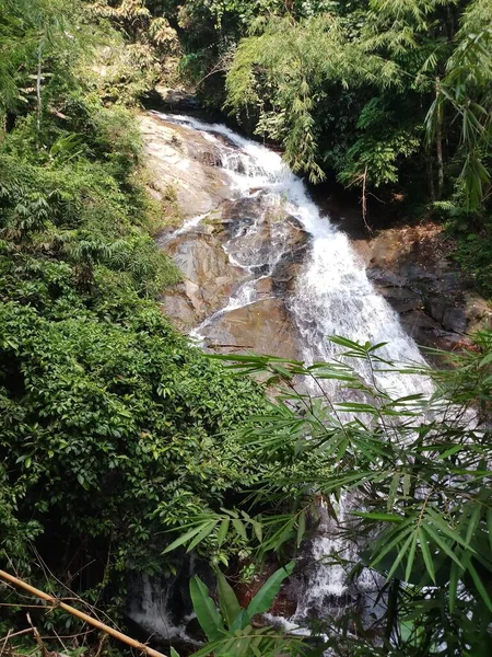 Der Schöne Blick Auf Den Wasserfall Dschungel — Stockfoto