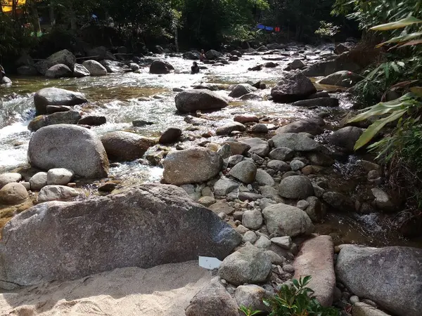 Ormanda büyük kayalar ve soğuk su olan derelerin ihtişamı..