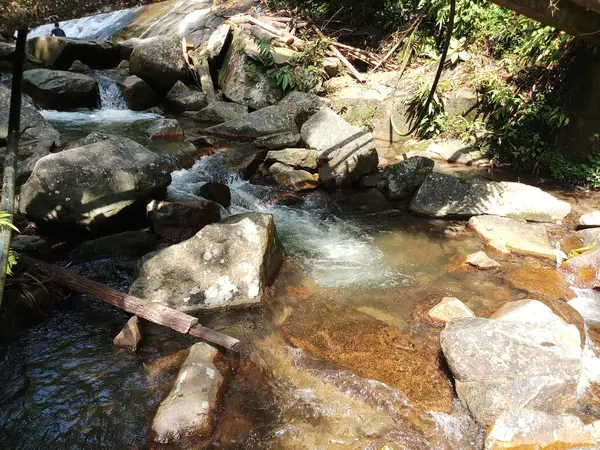 Brillantezza Dei Torrenti Con Grandi Rocce Acqua Fredda Nella Foresta — Foto Stock