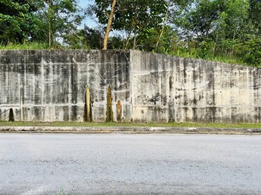 Yol manzarası, eski duvar ve yeşil ağaçlar.