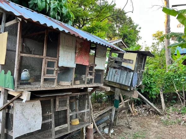 Old wooden bird cage. A place for raising birds made with old wood.