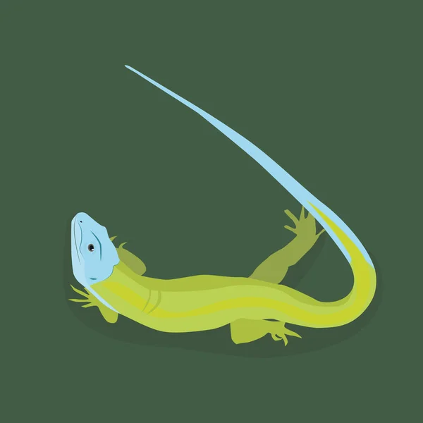 Summer Green Lizards Green Background Blue Tail — 图库矢量图片