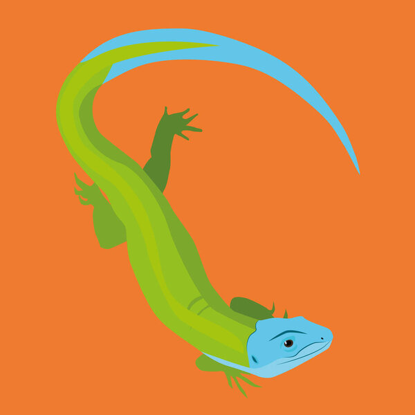 Summer of green lizards on a orange background. blue tail