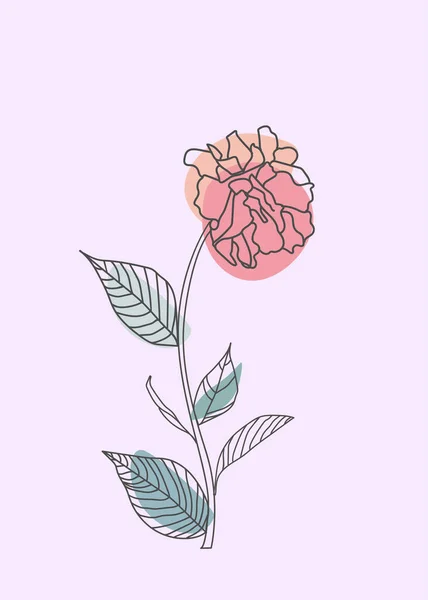 Flor Ramas Florecientes Cereza Melocotón Pera Sakura Ilustración Botánica Ilustraciones — Vector de stock