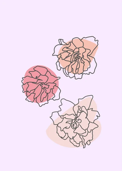 Yaratıcı Çizimi Çizimleri Çiçek Açan Kiraz Dalları Şeftali Armut Sakura — Stok Vektör