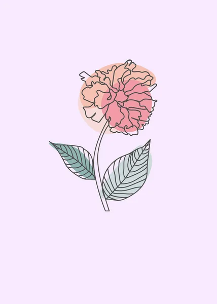 Цветок Цветущих Ветвей Вишни Персика Груши Сакуры Ботанической Иллюстрации Креативные — стоковый вектор