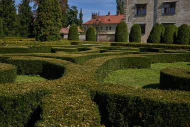 Bucovice, Çek Cumhuriyeti - 10 Eylül 2021 - Güneşli yaz öğleden sonra Rönesans Kalesi Bahçesi                               