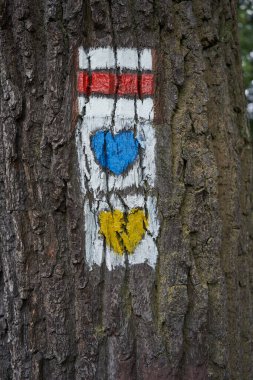 Ağaçların kabuğunda turist işaretleri - orman yürüyüşü sırasında oryantasyon                               