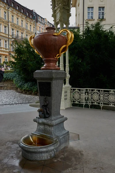 Karlovy Vary Çek Cumhuriyeti Eylül 2021 Yılan Baharı Karlovy Vary — Stok fotoğraf