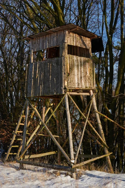 Lovecké Sedadlo Okraji Lesa Zimě — Stock fotografie