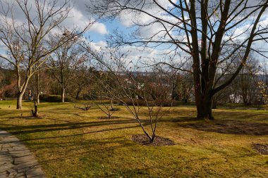 Prag, Çek Cumhuriyeti - 12 Şubat 2022 - Botanik Bahçesi - Güneşli kış öğleden sonra Japon Bahçesi                               