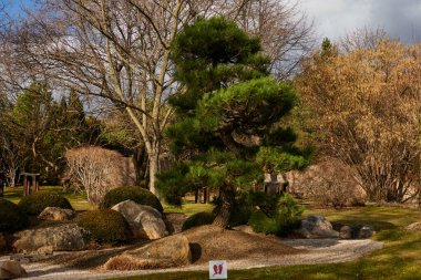    Prag, Çek Cumhuriyeti - 12 Şubat 2022 - Botanik Bahçesi - Güneşli kış öğleden sonra Japon Bahçesi                            