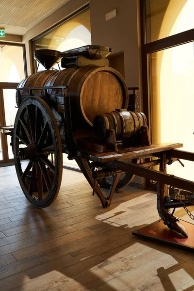Bardolino Italy July 2022 Wine Museum Lli Zeni Winery — Foto Stock