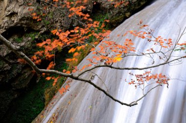 Urederra Nehri 'ndeki Doğal Rezerv Şelalesi. Navarre. İspanya