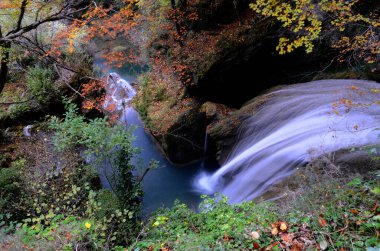 Urederra Nehri Doğal Rezervi 'nin sonbahar resmi. Navarre. İspanya