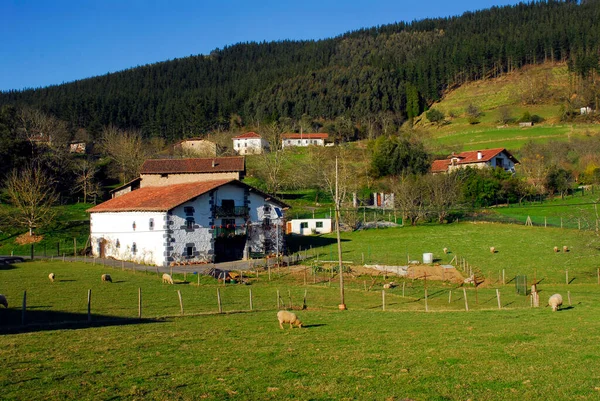 Urdaibai Biyosfer Rezervi 'ndeki Akorda Mahallesi. Bask Ülkesi. İspanya