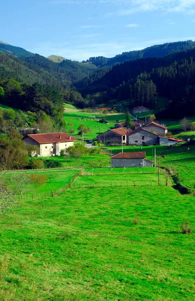Urdaibai Biyosfer Rezervi 'ndeki Oma Mahallesi. Bask Ülkesi. İspanya