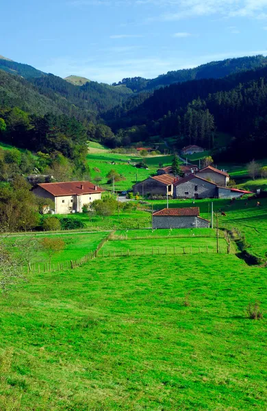 Dzielnica Oma Rezerwacie Biosfery Urdaibai Kraj Basków Hiszpania Obrazy Stockowe bez tantiem