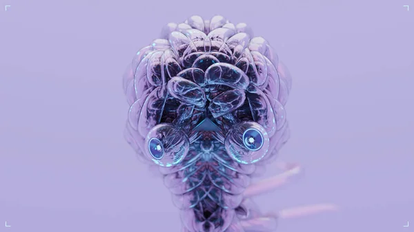 Sentetik Beyin - 3d Görüntüleme