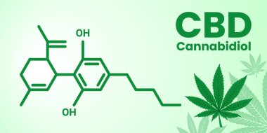 Kenevir sativa bitkisindeki bir kimyasal olan Cannabidiol CBD 'nin yapısal formülü, kenevir veya kenevir olarak da bilinir. Hafif arkaplanda marihuana yaprağı ve başlığı olan bir formülün vektör pankartı.
