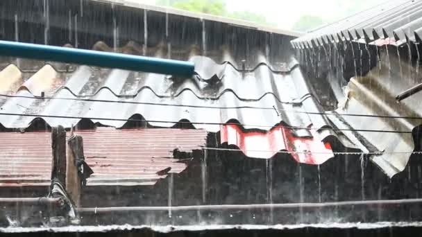Hujan Turun Atas Atap Kumuh Chaingmai Thailand — Stok Video