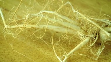 Kenevir kökleri gemide, Stüdyo Chiangmai Tayland 'da.