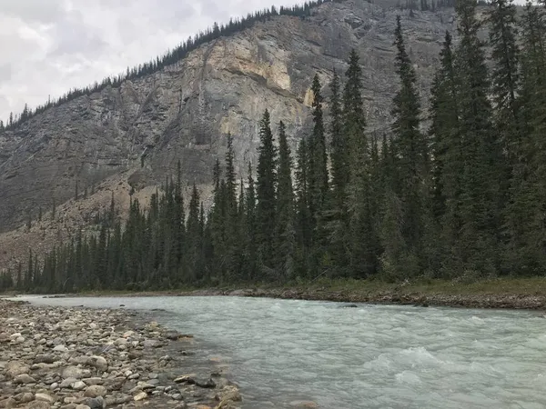 Takakkaw Falls Yoho Nationalpark — Stockfoto