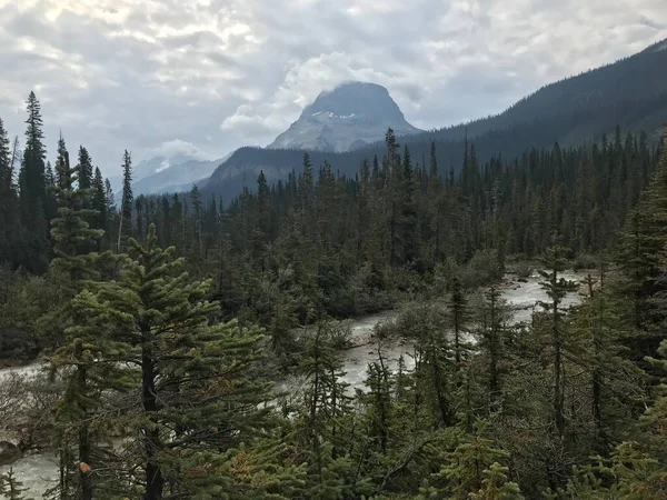 Cataratas Takakkaw Parque Nacional Yoho — Fotografia de Stock