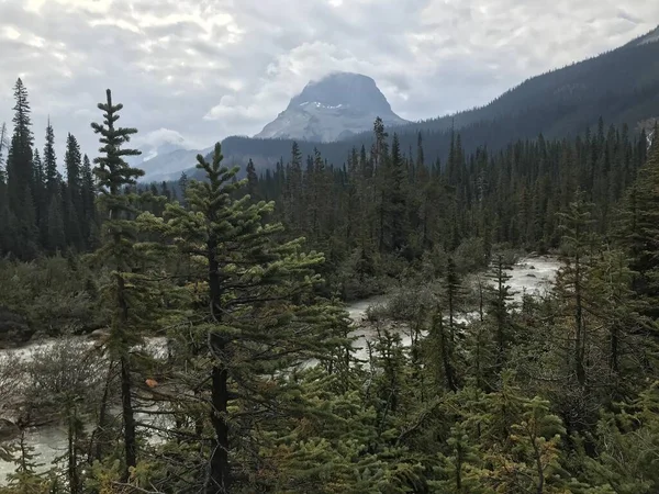 Takakkaw Falls Yoho Nationalpark — Stockfoto